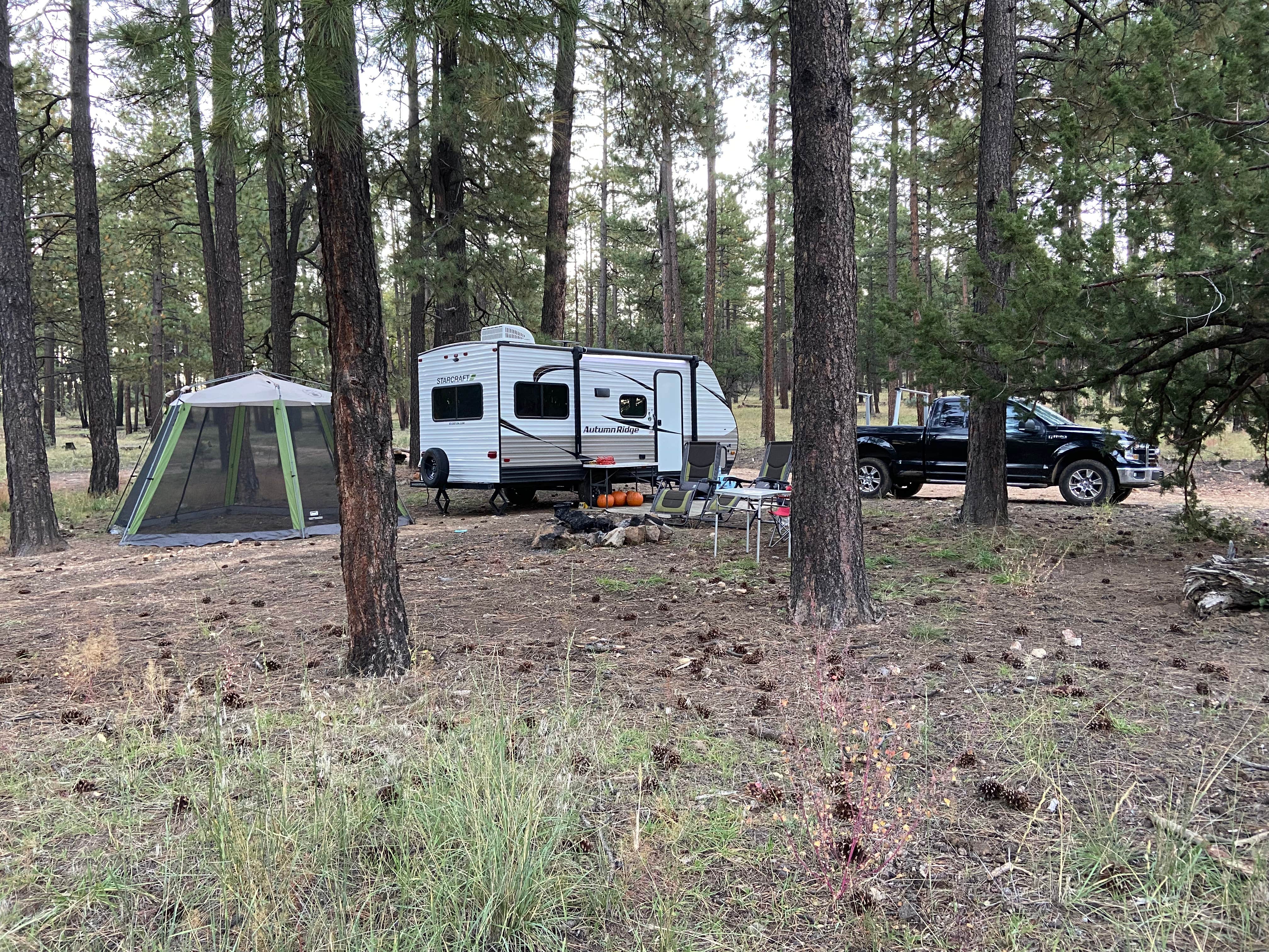 Alex H.'s photo at FS 609 - Dispersed Camping near Pine, AZ
