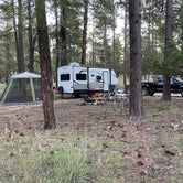 Review photo of FS 609 - Dispersed Camping by Alex H., October 10, 2021