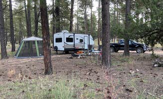 Alex H.'s photo at FS 609 - Dispersed Camping near Pine, AZ