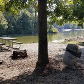 Review photo of Spring Creek Primitive Campground — Mousetail Landing State Park by Katrin M., October 10, 2021