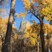Review photo of Belle Fourche Campground at Devils Tower — Devils Tower National Monument by Callie C., October 10, 2021