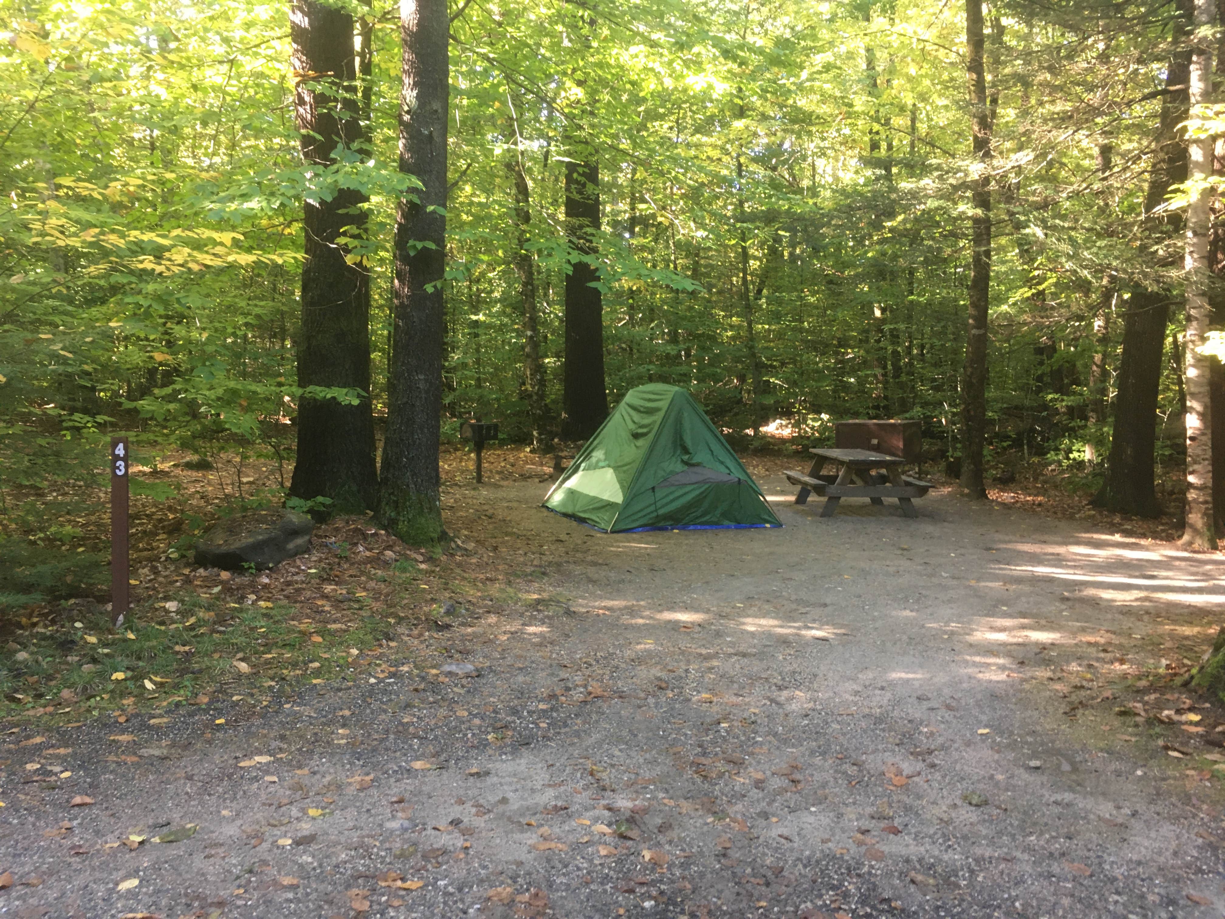 Alan's photo at Daughters of the American Revolution (DAR) State Forest Campground near Easthampton Town, MA