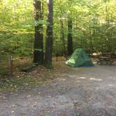 Review photo of Daughters of the American Revolution (DAR) Campground — D.A.R. State Forest by Alan , October 10, 2021