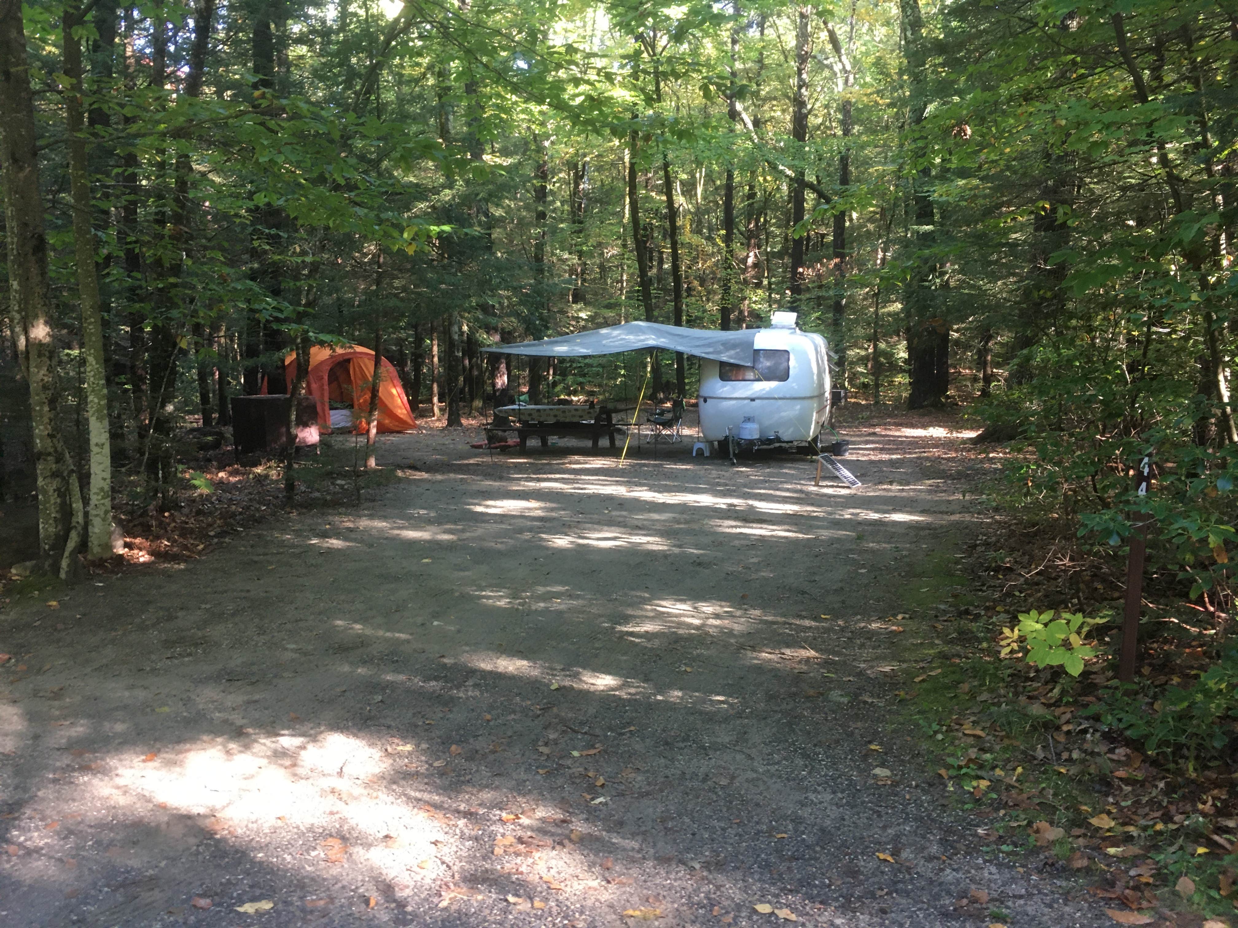 Alan's photo at Daughters of the American Revolution (DAR) State Forest Campground near Southampton, MA