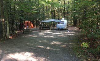 Alan's photo at Daughters of the American Revolution (DAR) State Forest Campground near Southampton, MA