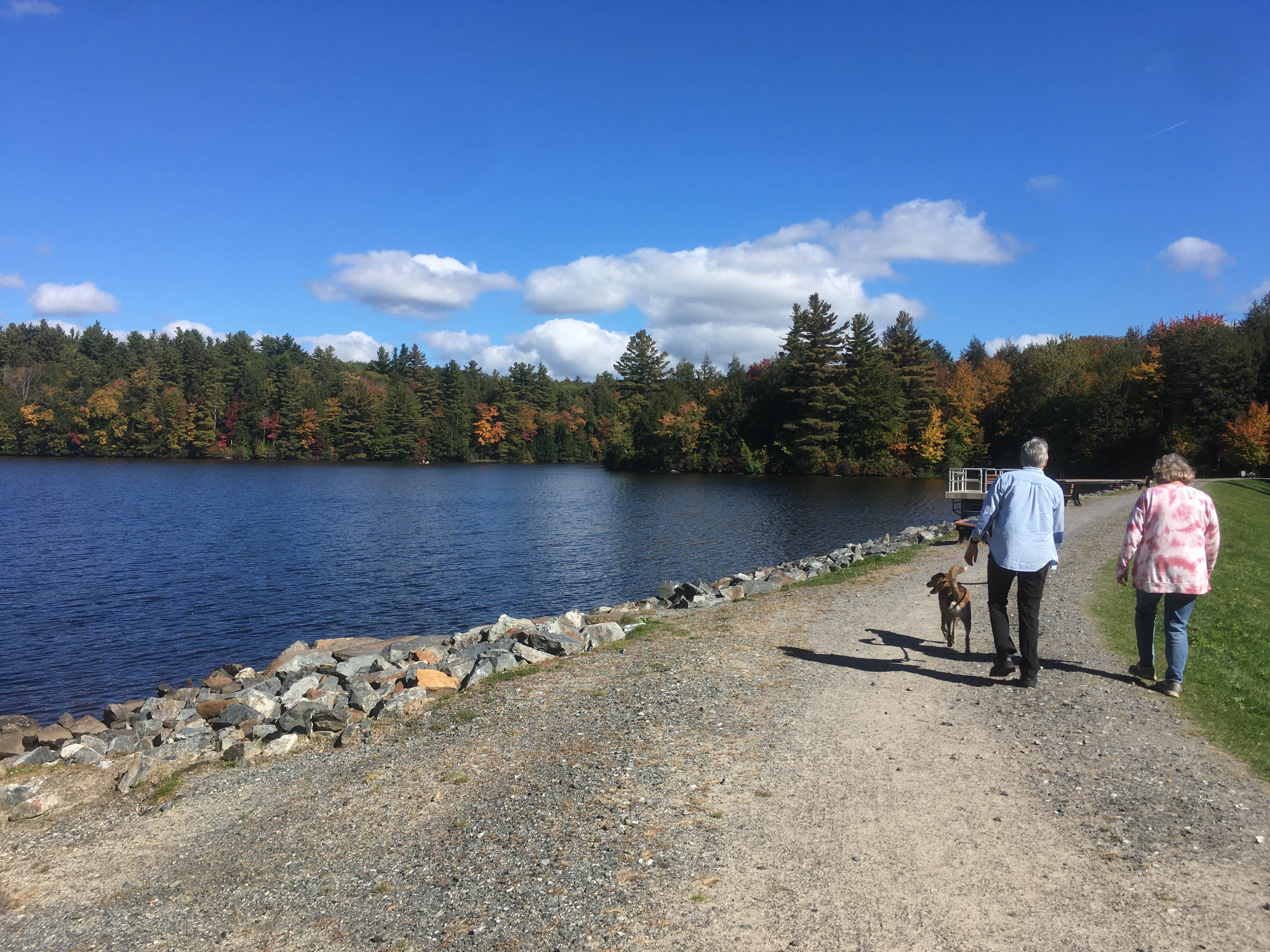 Alan's photo of camping with pets at Daughters of the American Revolution (DAR) State Forest Campground near Easthampton Town, MA