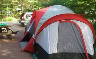 Gayle B.'s photo at Ricketts Glen State Park Campground near Forksville, PA