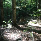 Review photo of Daughters of the American Revolution (DAR) Campground — D.A.R. State Forest by Alan , October 10, 2021