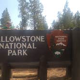 Review photo of Canyon Campground — Yellowstone National Park by Laura B., July 3, 2018