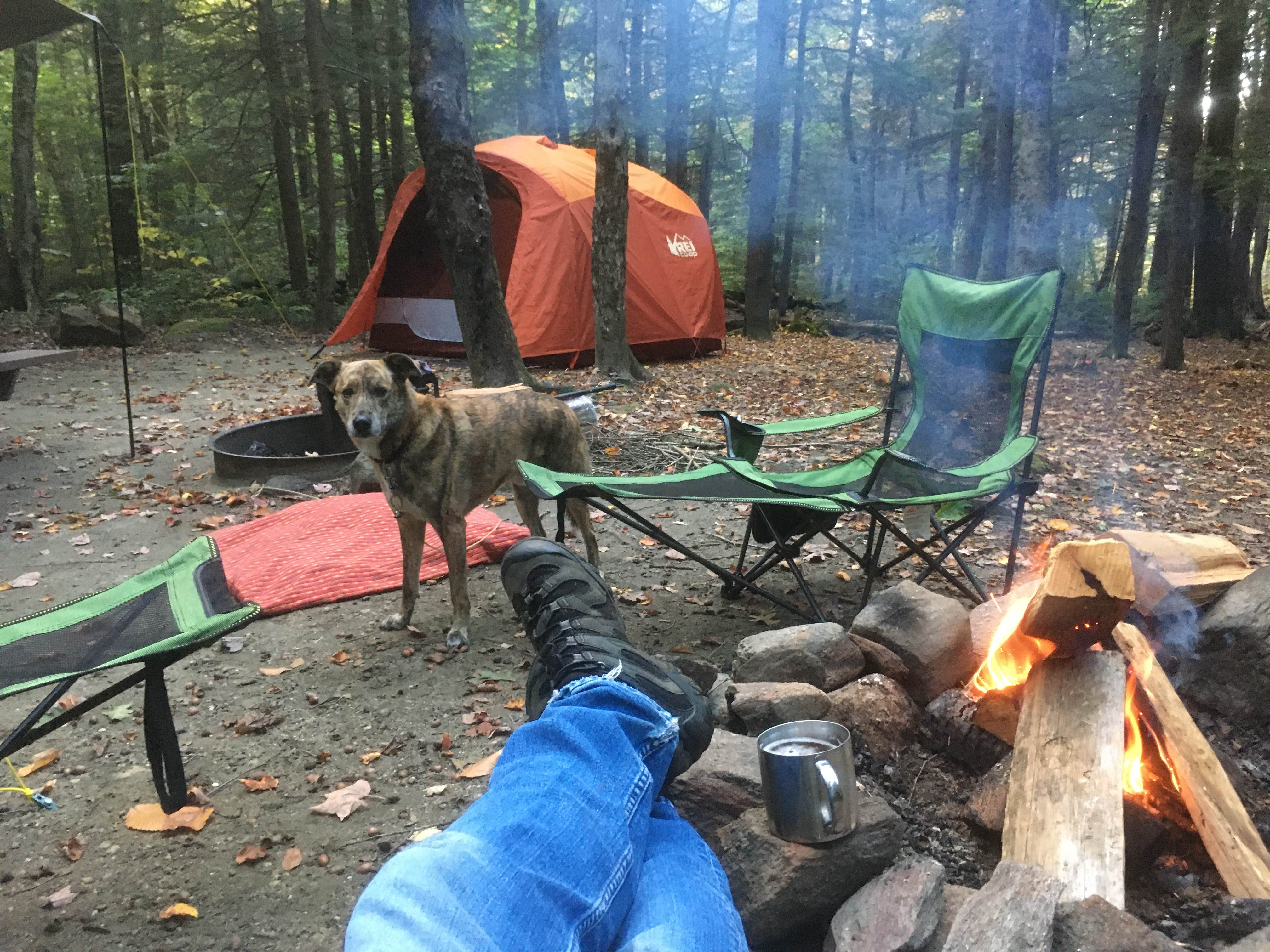 Alan's photo at Daughters of the American Revolution (DAR) State Forest Campground near Plainfield, MA