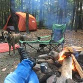 Review photo of Daughters of the American Revolution (DAR) Campground — D.A.R. State Forest by Alan , October 10, 2021