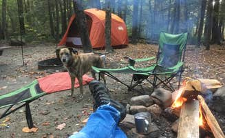 Alan's photo of camping with pets at Daughters of the American Revolution (DAR) State Forest Campground near Ashfield, MA