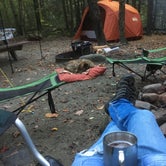 Review photo of Daughters of the American Revolution (DAR) Campground — D.A.R. State Forest by Alan , October 10, 2021