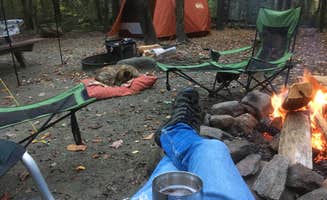 Alan's photo at Daughters of the American Revolution (DAR) State Forest Campground near Shelburne Falls, MA