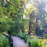 Review photo of South Campground — Reelfoot Lake State Park by Katrin M., October 10, 2021