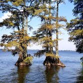 Review photo of South Campground — Reelfoot Lake State Park by Katrin M., October 10, 2021