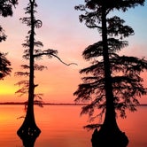 Review photo of South Campground — Reelfoot Lake State Park by Katrin M., October 10, 2021