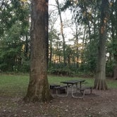 Review photo of South Campground — Reelfoot Lake State Park by Katrin M., October 10, 2021