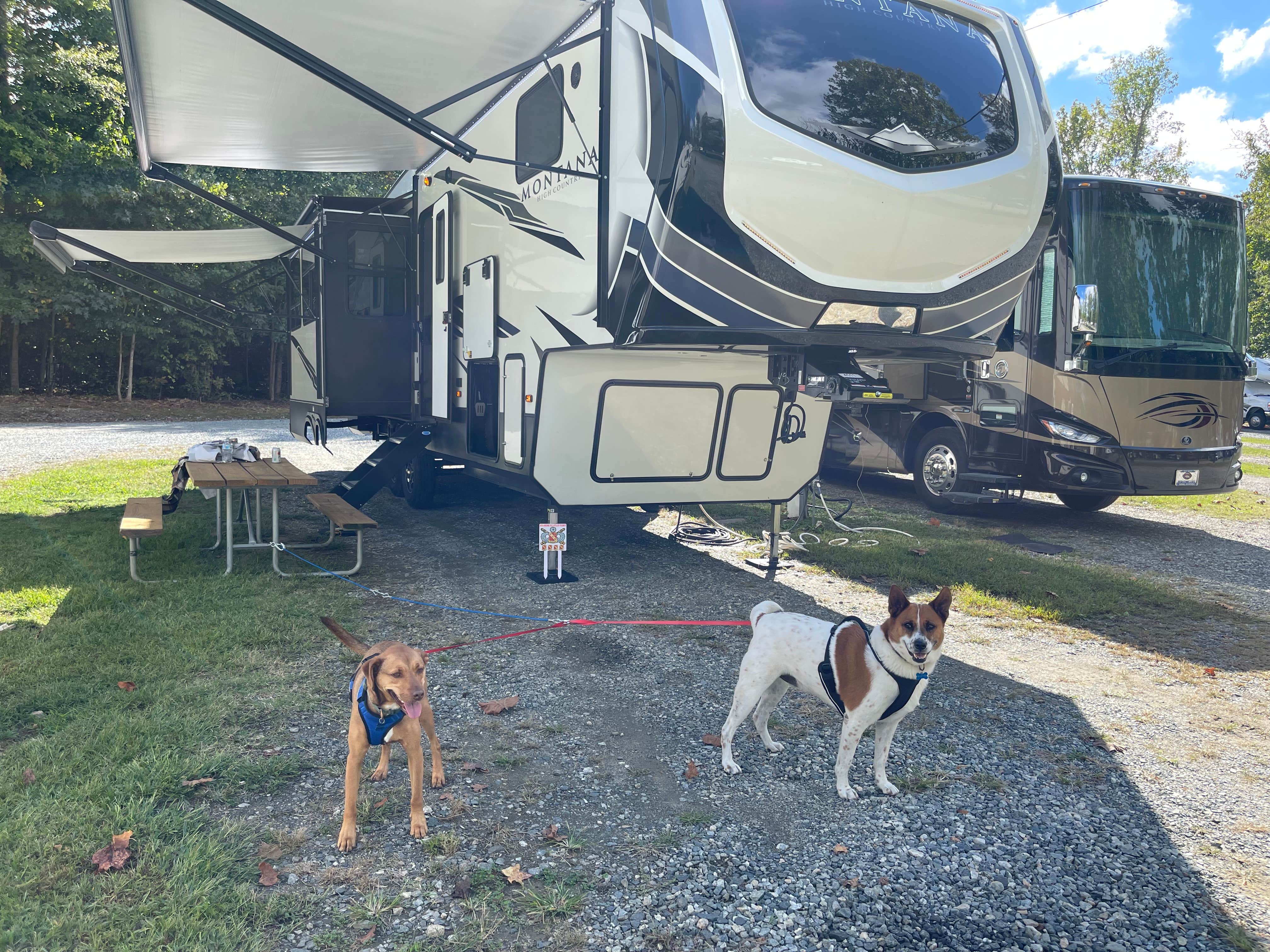 Andre M.'s photo of camping with pets at Greensboro KOA near Whitsett, NC