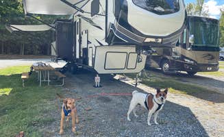 Andre M.'s photo of camping with pets at Greensboro KOA near Welcome, NC