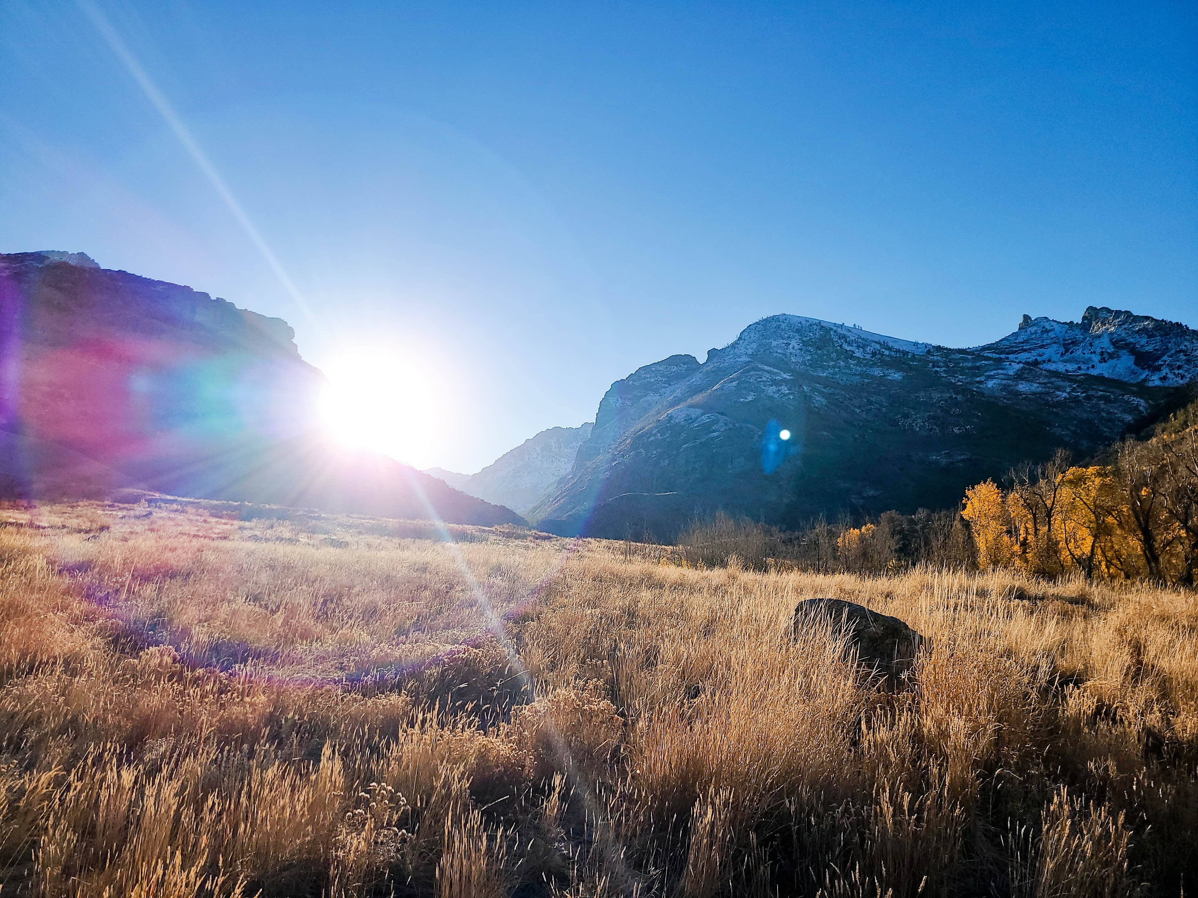 Colt H.'s photo of a dispersed camping area at Camp Lamoille-Dispersed Camping near Elko, NV