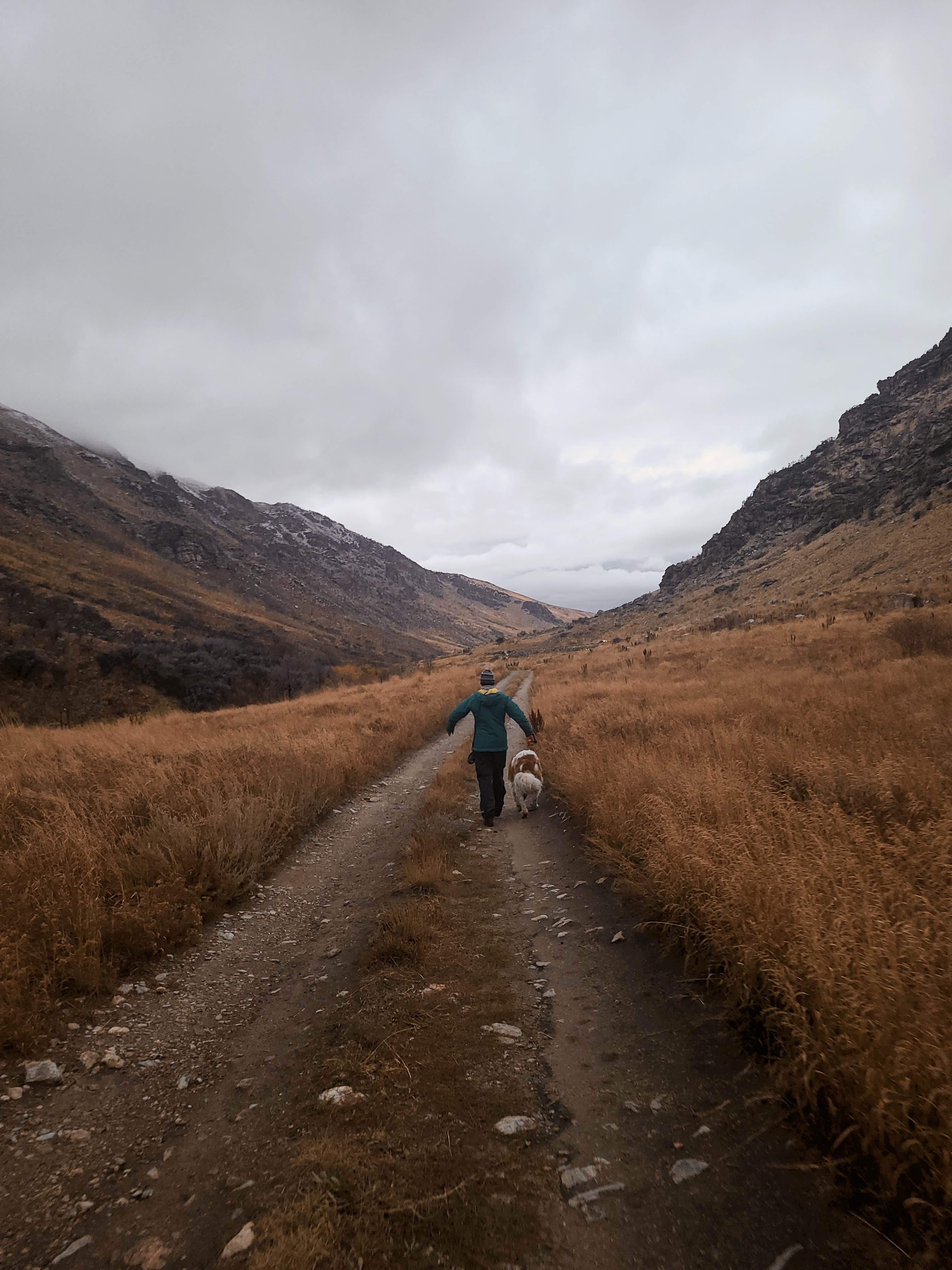 Camper submitted image from Camp Lamoille-Dispersed Camping - 5