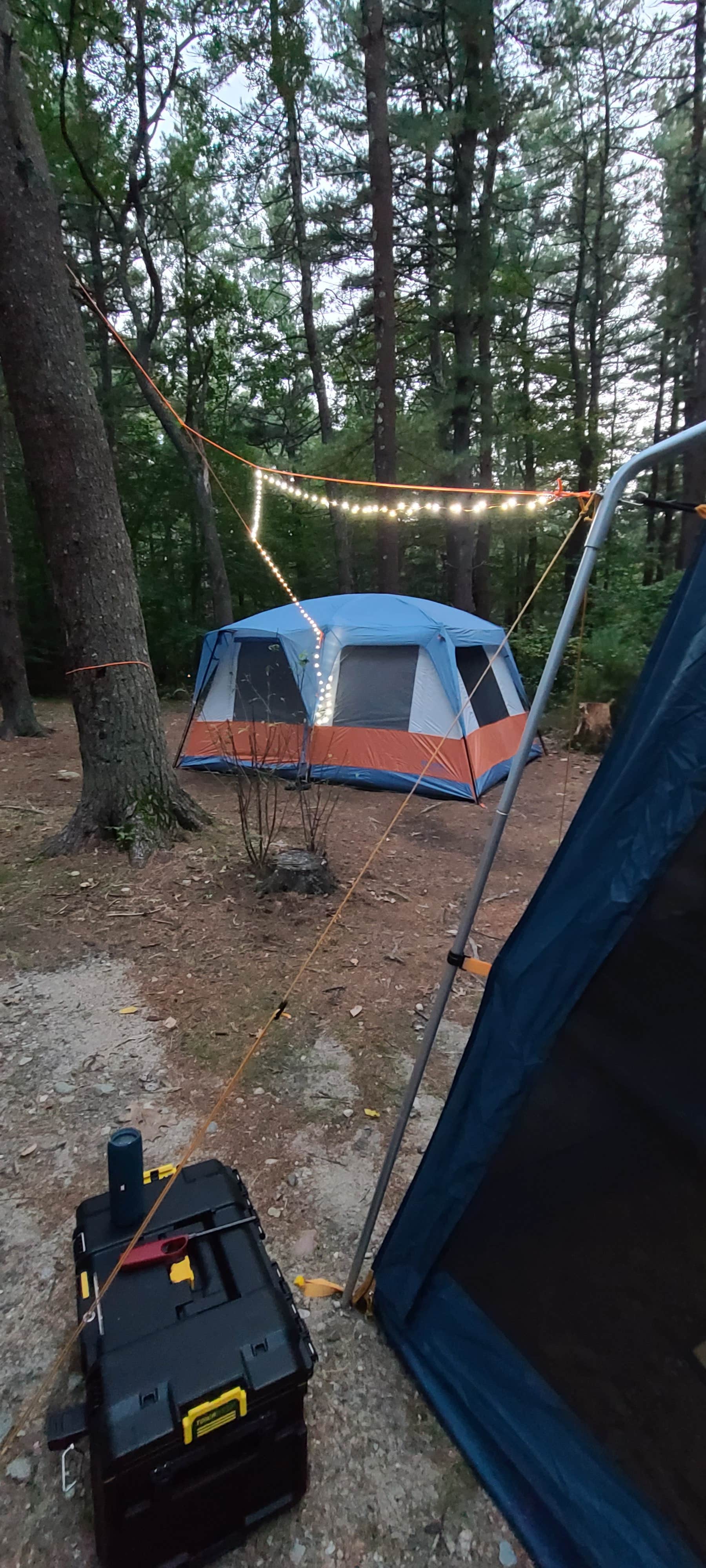 Tim S.'s photo at Wompatuck State Park Campground near Reading, MA