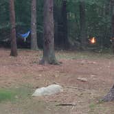 Review photo of Wompatuck State Park Campground by Timothey S., July 25, 2020