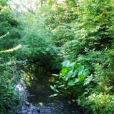 Review photo of Littlefield Rec Area by Laura B., July 3, 2018