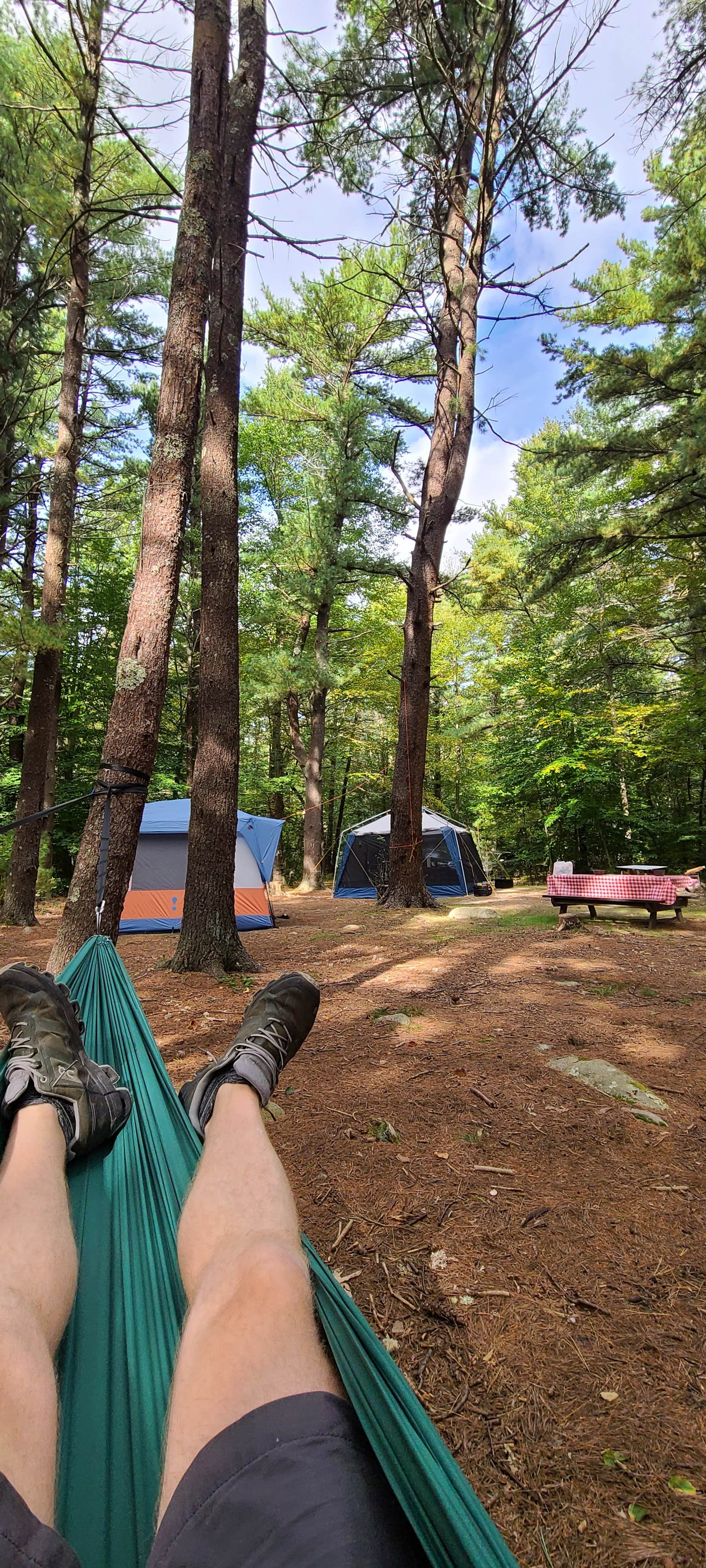 Tim S.'s photo at Wompatuck State Park Campground near Easton, MA