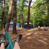 Review photo of Wompatuck State Park Campground by Timothey S., July 25, 2020