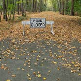 Review photo of Wompatuck State Park Campground by Timothey S., July 25, 2020