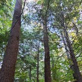 Review photo of Wompatuck State Park Campground by Timothey S., July 25, 2020