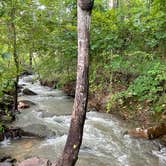 Review photo of Raccoon Mountain Caverns and Campground by Taylor S., October 10, 2021