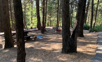 Denise G.'s photo at Dogwood near Mojave River Dam
