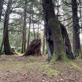 Review photo of Beverly Beach State Park Campground by Jennifer R., October 10, 2021