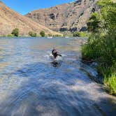 Review photo of Beavertail Campground — Lower Deschutes Wild And Scenic River by Jennifer R., October 10, 2021