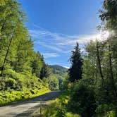 Review photo of Tillamook Forest Dispersed Camping on the Nehalem River by Jennifer R., October 10, 2021