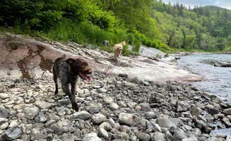 Jennifer R.'s photo of camping with pets at Tillamook Forest Dispersed on the Nehalem River near Cannon Beach, OR