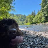 Review photo of Tillamook Forest Dispersed on the Nehalem River by Jennifer R., October 10, 2021