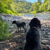 Review photo of Tillamook Forest Dispersed on the Nehalem River by Jennifer R., October 10, 2021