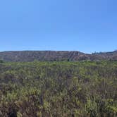 Review photo of Tijuana River Valley Regional Park Campground by Matthew D., October 10, 2021