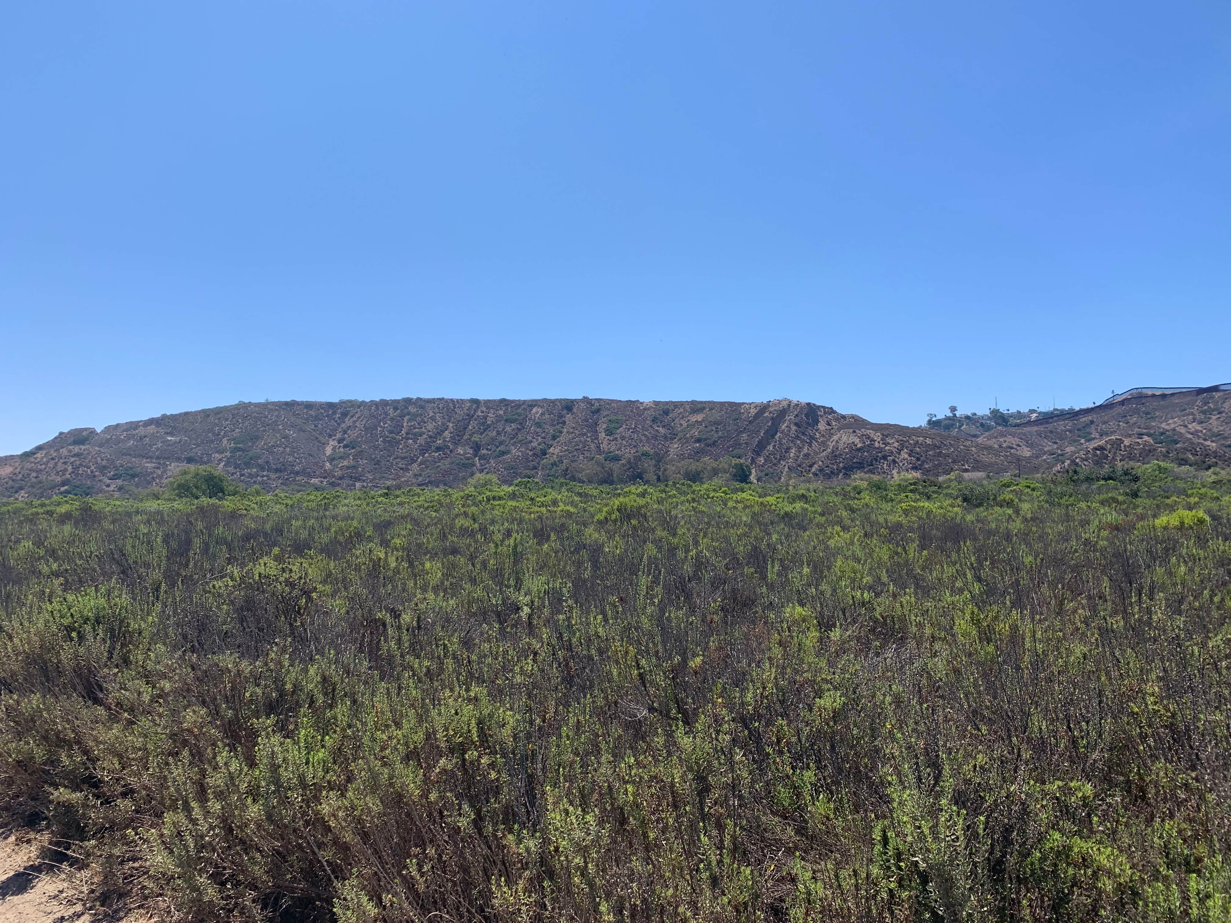 Camper submitted image from Tijuana River Valley Regional Park Campground - 2