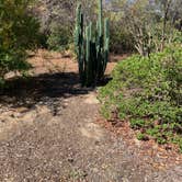 Review photo of Tijuana River Valley Regional Park Campground by Matthew D., October 10, 2021