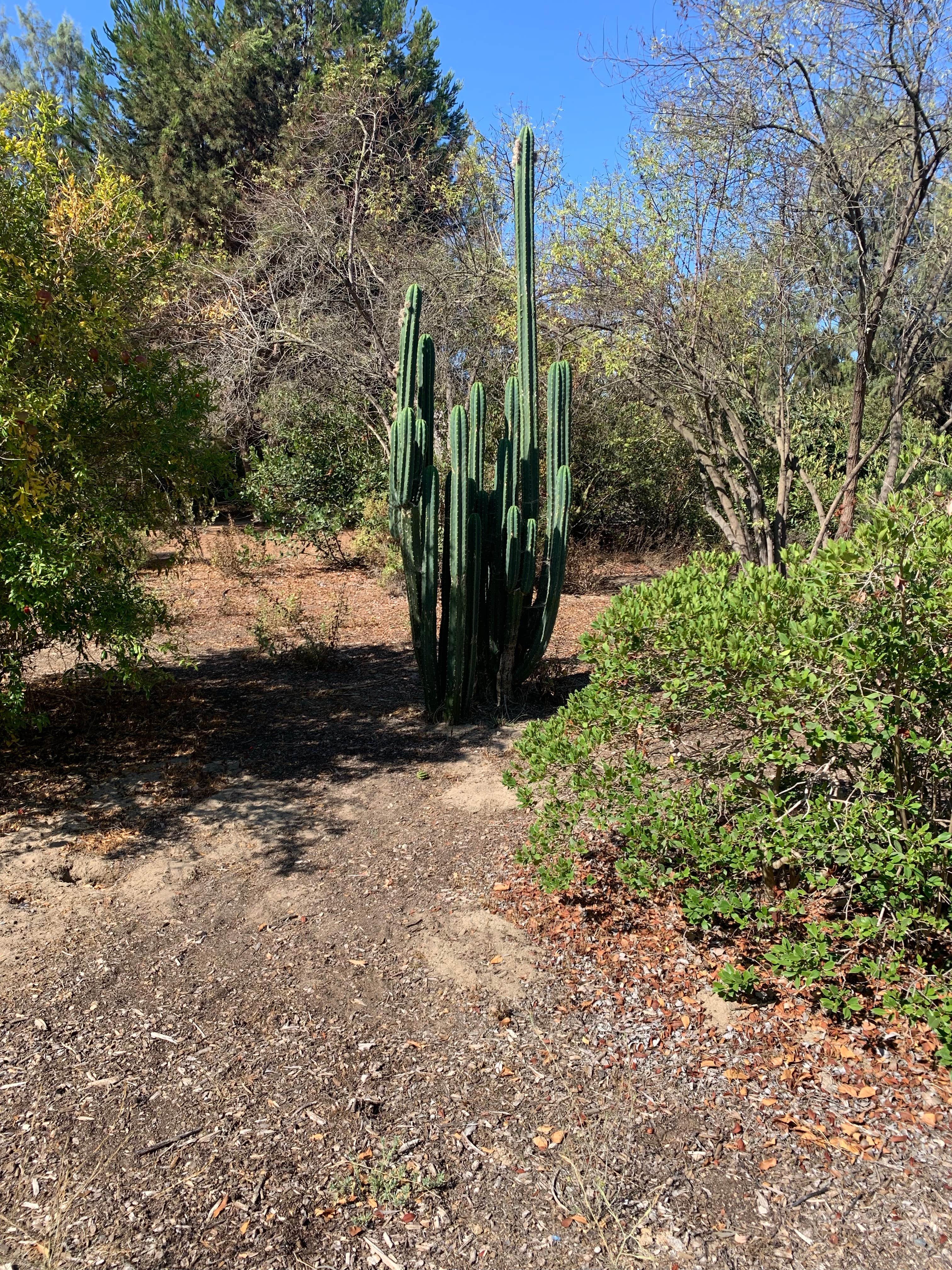 Camper submitted image from Tijuana River Valley Regional Park Campground - 3