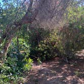 Review photo of Tijuana River Valley Regional Park Campground by Matthew D., October 10, 2021
