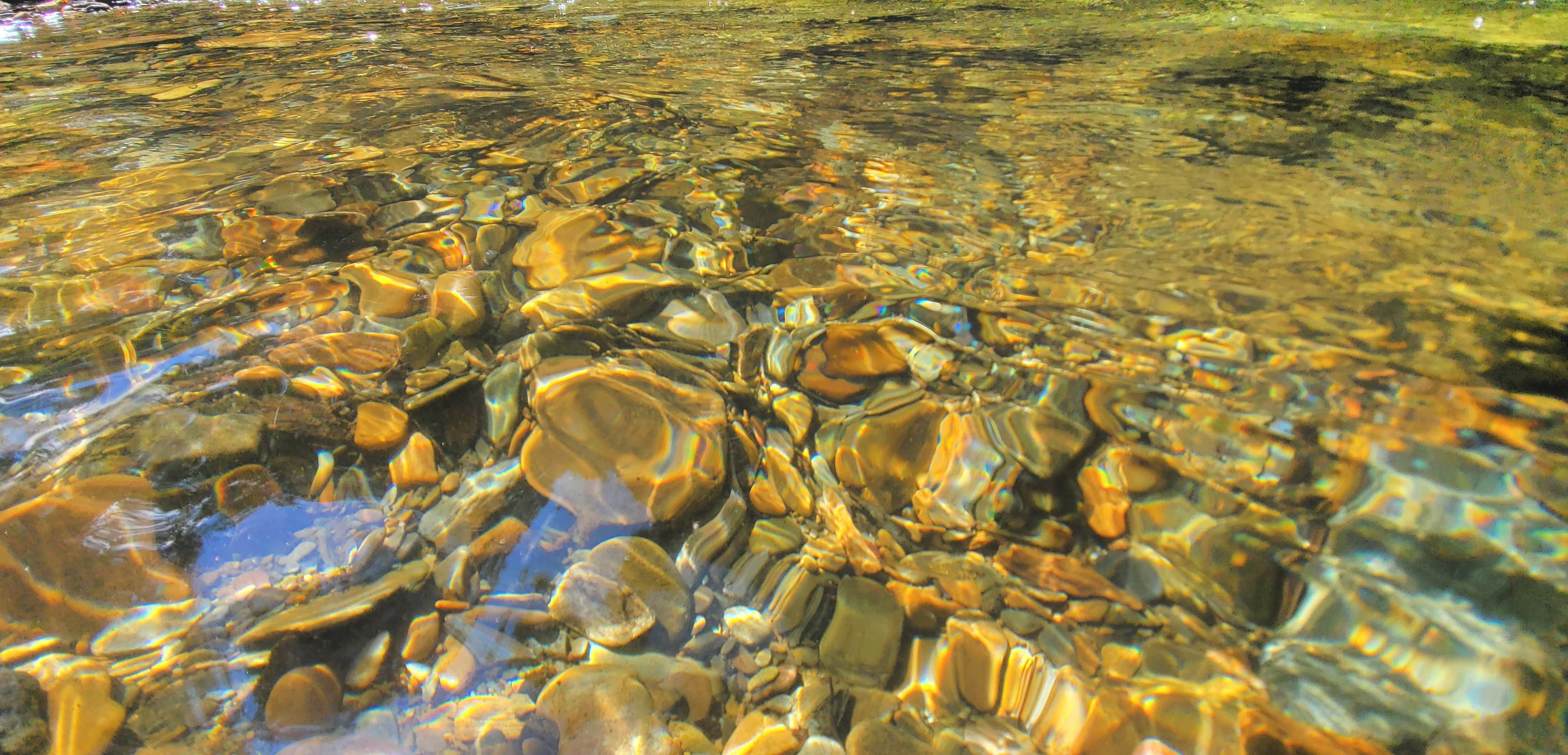 Camper-submitted photo at Lost Creek - Cherokee NF near Tallassee, TN