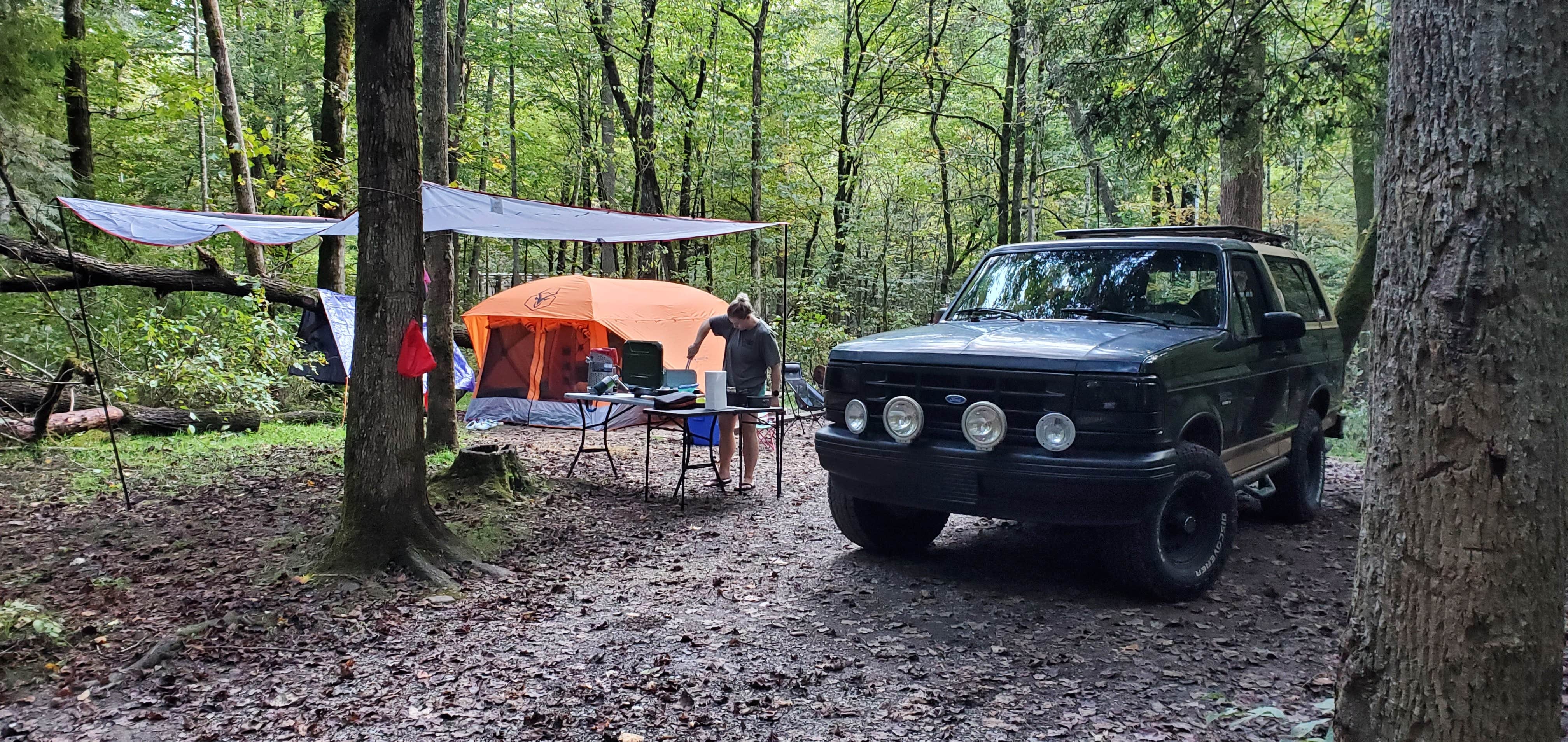 Scott E.'s photo of a dispersed camping area at Lost Creek - Cherokee NF near McCaysville, GA