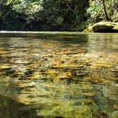 Review photo of Lost Creek - Cherokee NF by Scott E., October 10, 2021