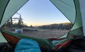 Jill Armando G.'s photo at Pole Mountain Dispersed Camping near Cheyenne, WY